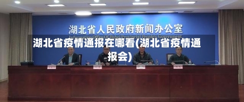 湖北省疫情通报在哪看(湖北省疫情通报会)-第2张图片