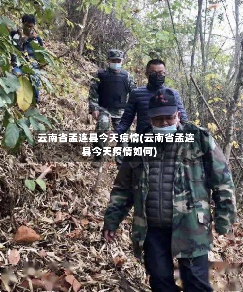 云南省孟连县今天疫情(云南省孟连县今天疫情如何)-第2张图片