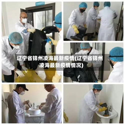 辽宁省锦州凌海最新疫情(辽宁省锦州凌海最新疫情情况)-第2张图片