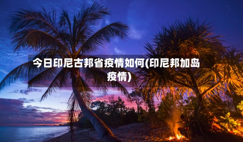 今日印尼古邦省疫情如何(印尼邦加岛疫情)-第3张图片