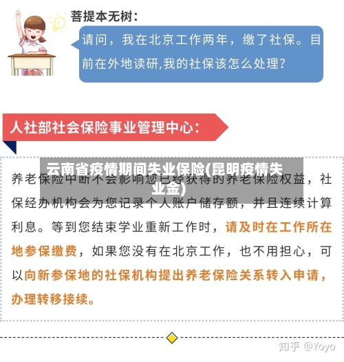云南省疫情期间失业保险(昆明疫情失业金)-第1张图片