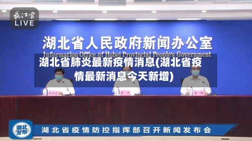 湖北省肺炎最新疫情消息(湖北省疫情最新消息今天新增)-第2张图片