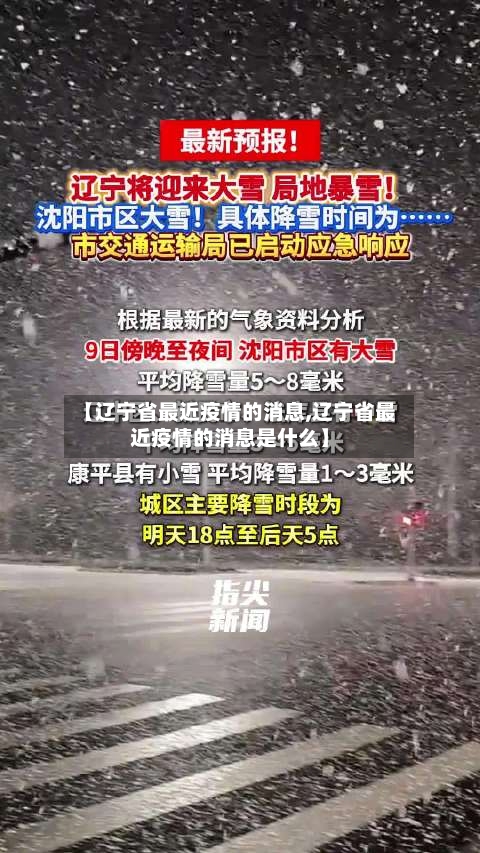 【辽宁省最近疫情的消息,辽宁省最近疫情的消息是什么】-第1张图片