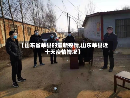 【山东省莘县的最新疫情,山东莘县近十天疫情情况】-第1张图片