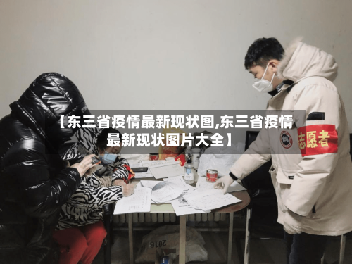 【东三省疫情最新现状图,东三省疫情最新现状图片大全】-第3张图片
