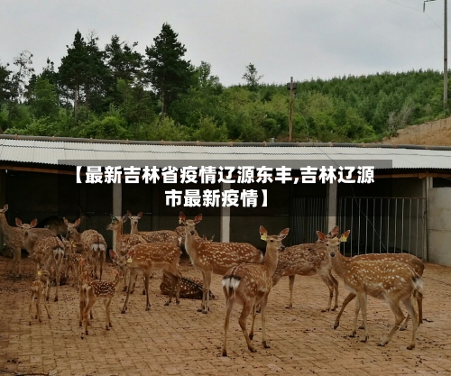 【最新吉林省疫情辽源东丰,吉林辽源市最新疫情】-第1张图片