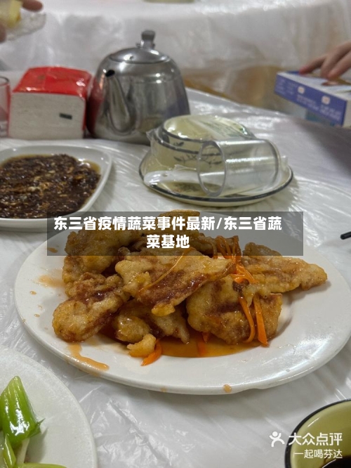 东三省疫情蔬菜事件最新/东三省蔬菜基地-第1张图片