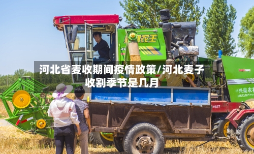 河北省麦收期间疫情政策/河北麦子收割季节是几月-第3张图片