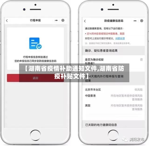 【湖南省疫情补助通知文件,湖南省防疫补贴文件】-第1张图片