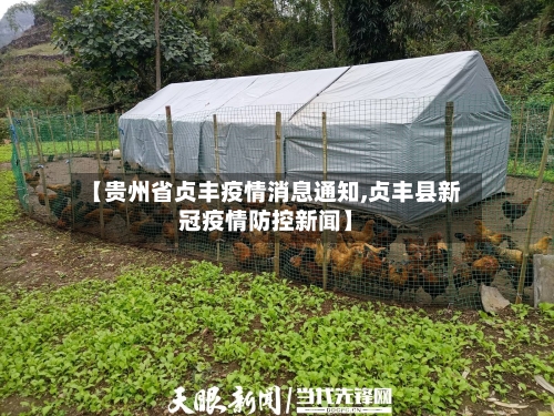 【贵州省贞丰疫情消息通知,贞丰县新冠疫情防控新闻】-第3张图片