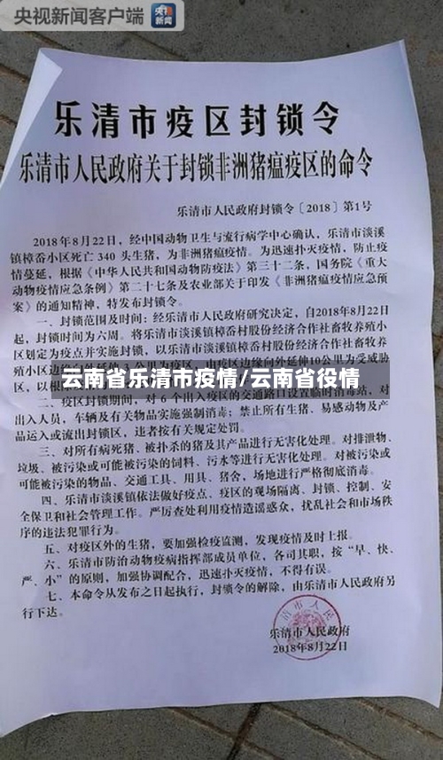 云南省乐清市疫情/云南省役情-第1张图片