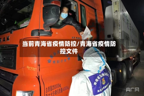 当前青海省疫情防控/青海省疫情防控文件-第2张图片