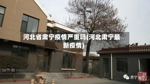 河北省肃宁疫情严重吗(河北肃宁最新疫情)-第3张图片