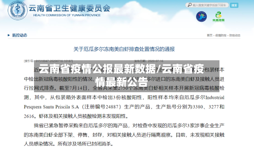 云南省疫情公报最新数据/云南省疫情最新公告-第2张图片