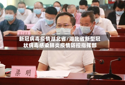 新冠病毒疫情湖北省/湖北省新型冠状病毒感染肺炎疫情防控指挥部-第1张图片