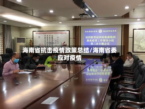 海南省抗击疫情政策总结/海南省委应对疫情-第1张图片