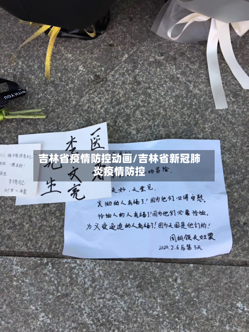 吉林省疫情防控动画/吉林省新冠肺炎疫情防控-第1张图片