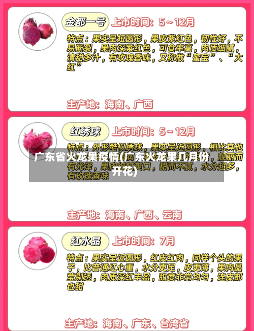 广东省火龙果疫情(广东火龙果几月份开花)-第1张图片