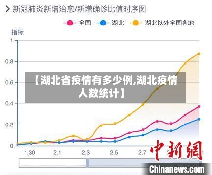 【湖北省疫情有多少例,湖北疫情人数统计】-第3张图片