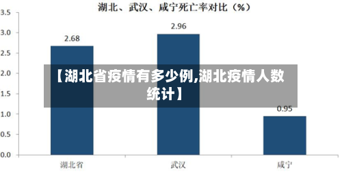 【湖北省疫情有多少例,湖北疫情人数统计】-第2张图片