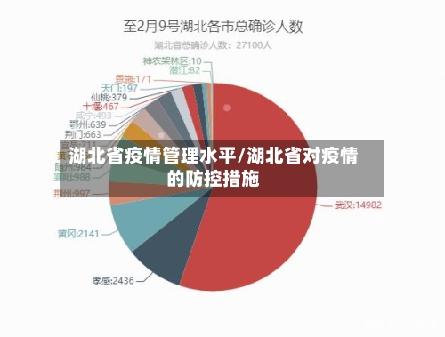 湖北省疫情管理水平/湖北省对疫情的防控措施-第2张图片