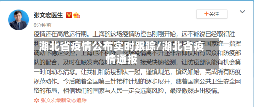 湖北省疫情公布实时跟踪/湖北省疫情通报-第3张图片