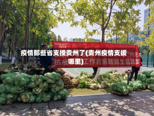 疫情那些省支授贵州了(贵州疫情支援哪里)-第3张图片