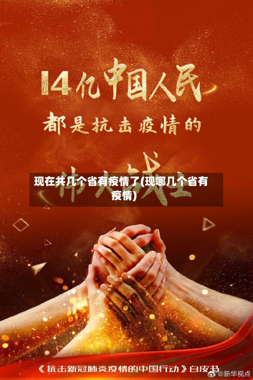 现在共几个省有疫情了(现哪几个省有疫情)-第2张图片
