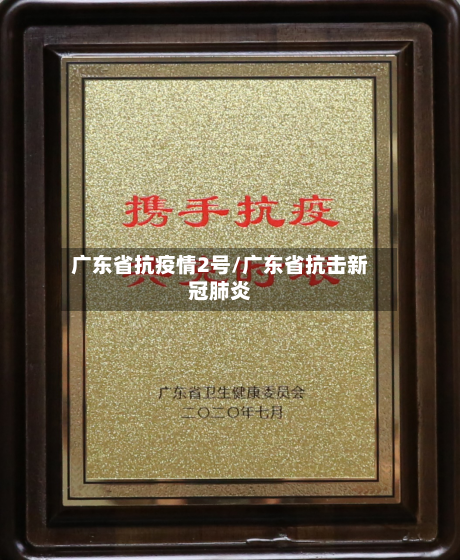 广东省抗疫情2号/广东省抗击新冠肺炎-第1张图片