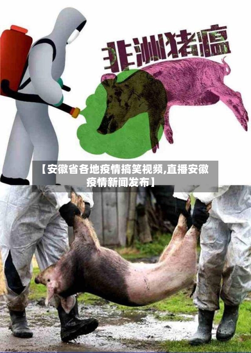 【安徽省各地疫情搞笑视频,直播安徽疫情新闻发布】-第1张图片