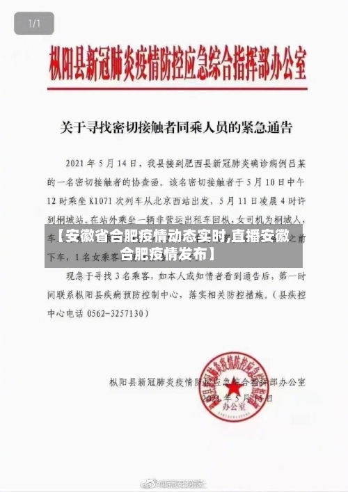 【安徽省合肥疫情动态实时,直播安徽合肥疫情发布】-第1张图片