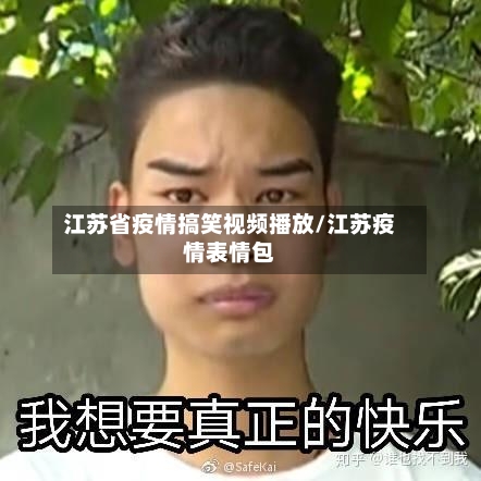 江苏省疫情搞笑视频播放/江苏疫情表情包-第3张图片