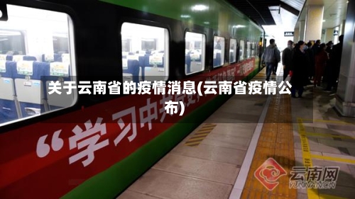 关于云南省的疫情消息(云南省疫情公布)-第2张图片