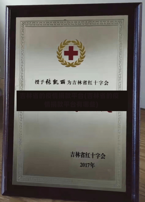 吉林省的疫情捐款平台(吉林省的疫情捐款平台有哪些)-第1张图片