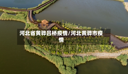 河北省黄骅吕桥疫情/河北黄骅市疫情-第3张图片