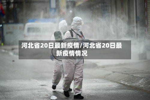 河北省20日最新疫情/河北省20日最新疫情情况-第3张图片