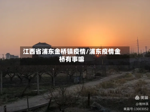 江西省浦东金桥镇疫情/浦东疫情金桥有事嘛-第2张图片