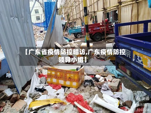 【广东省疫情防控暗访,广东疫情防控领导小组】-第1张图片