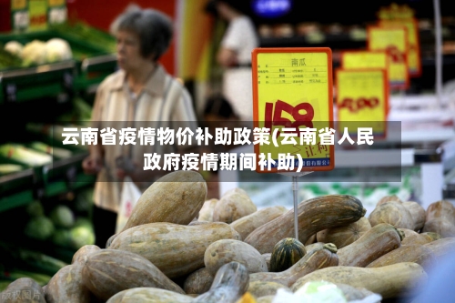 云南省疫情物价补助政策(云南省人民政府疫情期间补助)-第1张图片