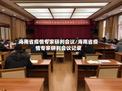 海南省疫情专家研判会议/海南省疫情专家研判会议记录-第1张图片