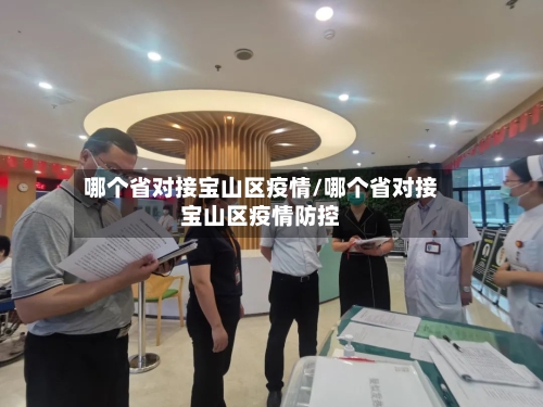 哪个省对接宝山区疫情/哪个省对接宝山区疫情防控-第2张图片