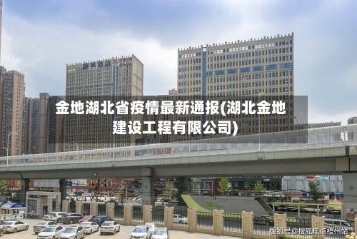 金地湖北省疫情最新通报(湖北金地建设工程有限公司)-第1张图片