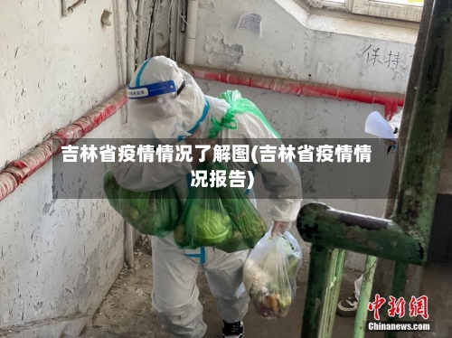 吉林省疫情情况了解图(吉林省疫情情况报告)-第2张图片