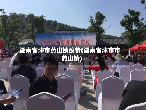 湖南省津市药山镇疫情(湖南省津市市药山镇)-第2张图片