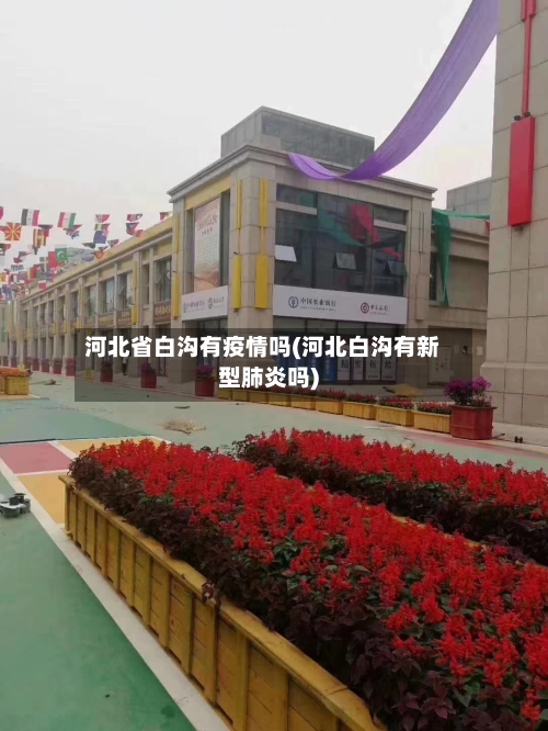 河北省白沟有疫情吗(河北白沟有新型肺炎吗)-第1张图片