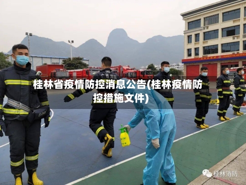 桂林省疫情防控消息公告(桂林疫情防控措施文件)-第3张图片