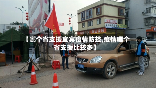 【哪个省支援宜宾疫情防控,疫情哪个省支援比较多】-第2张图片