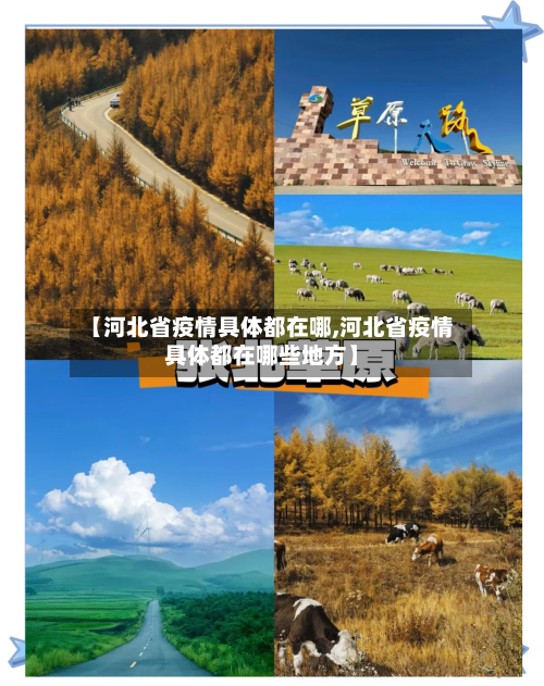 【河北省疫情具体都在哪,河北省疫情具体都在哪些地方】-第3张图片