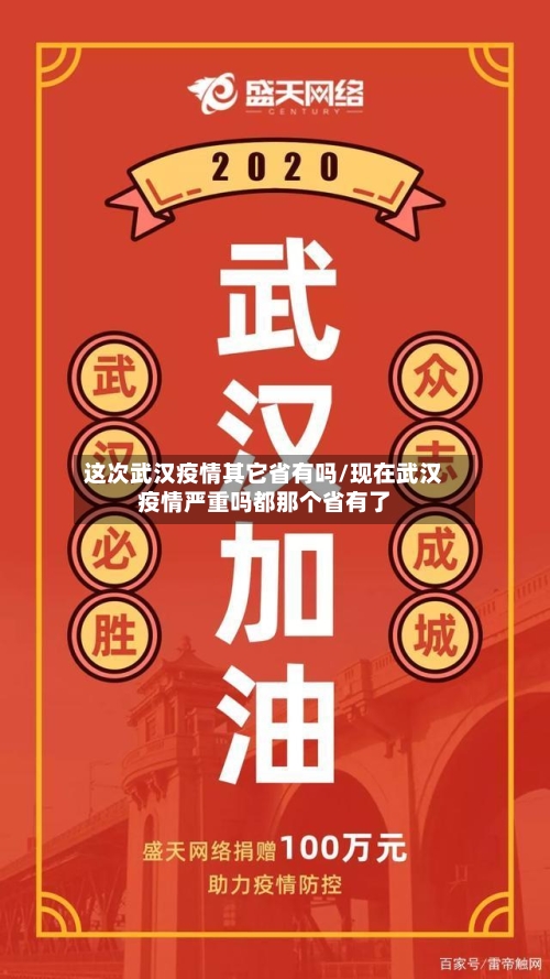 这次武汉疫情其它省有吗/现在武汉疫情严重吗都那个省有了-第1张图片