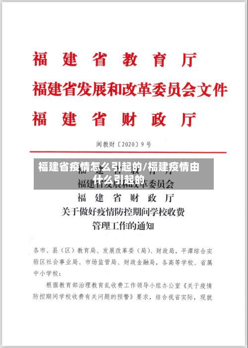 福建省疫情怎么引起的/福建疫情由什么引起的-第3张图片